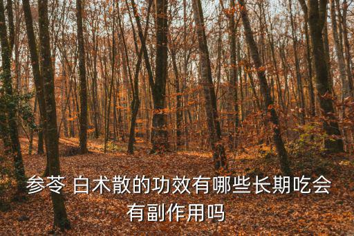 參苓白術片,人參茯苓白術各100g中藥名樹片劑