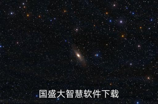 國盛大智慧軟件下載