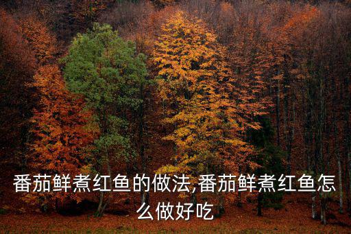 番茄鮮煮紅魚的做法,番茄鮮煮紅魚怎么做好吃