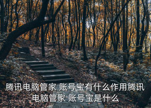 賬號寶,pc電腦管家新推出賬號寶保護用戶賬號安全