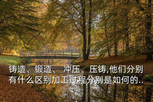 沖壓工藝,壓鑄模-用于壓床或液壓機的沖模