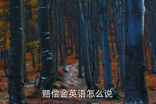 賠償金英語怎么說