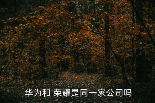 榮耀和華為的關系,華為榮耀之爭的始末