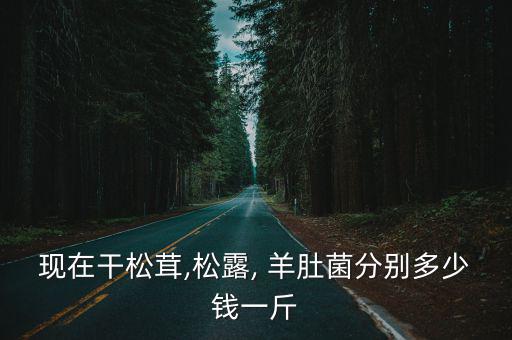 羊肚菌多少錢,菌中之王羊肚蘑菇的價格是多少?