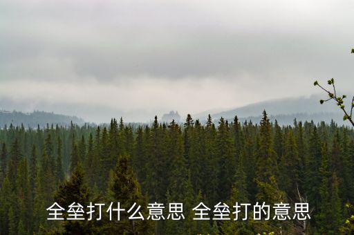 打全壘是什么意思,我國男子棒球選手擊出三枚重炮彈