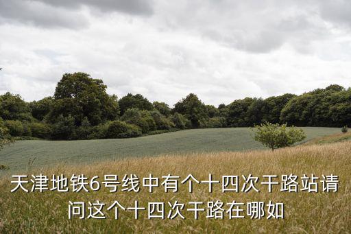 天津地鐵6號線中有個十四次干路站請問這個十四次干路在哪如