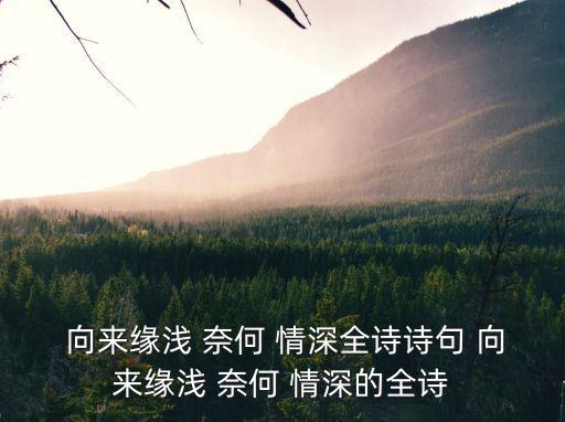 向來緣淺奈何情深,第二集:來來淺，-1情深
