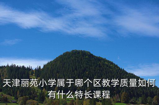 天津麗苑小學屬于哪個區教學質量如何有什么特長課程