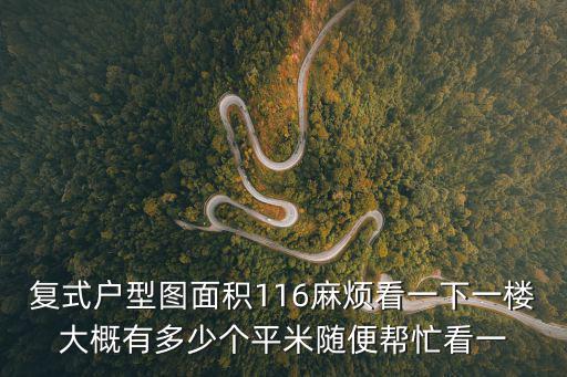復式戶型圖面積116麻煩看一下一樓大概有多少個平米隨便幫忙看一
