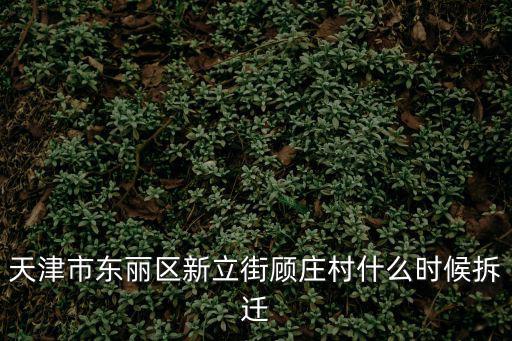 天津市東麗區新立街顧莊村什么時候拆遷