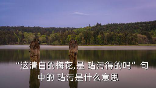 “這清白的梅花,是 玷污得的嗎”句中的 玷污是什么意思