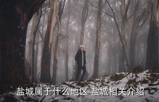 鹽城屬于哪里,江蘇鹽城市的歷史