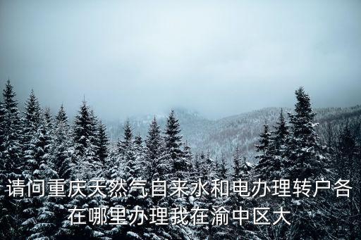 重慶市自來水過戶需要那些東西，請問重慶天然氣自來水和電辦理轉戶各在哪里辦理我在渝中區大