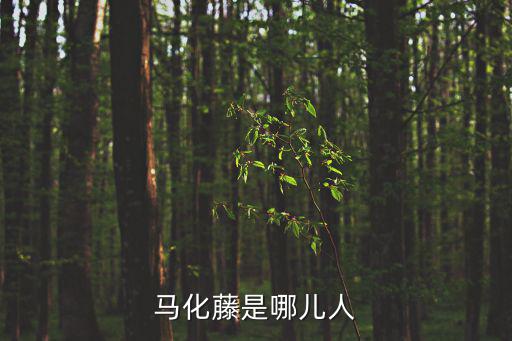 馬化藤是哪兒人