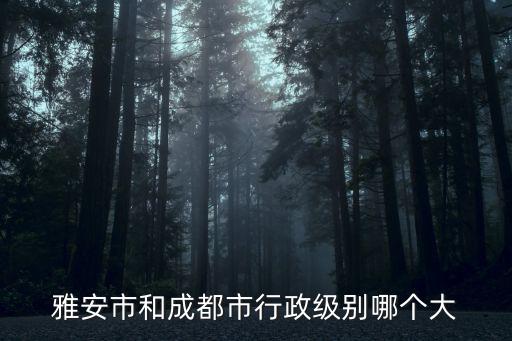 四川副省長和成都市長誰級別大，省委常委的市委書記啥級別