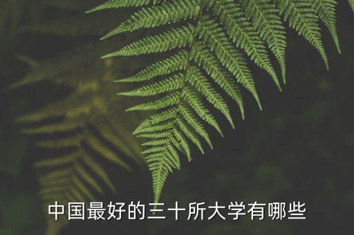 中國重點大學排名，中國重點大學排名