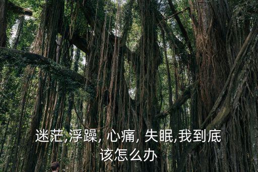 迷茫,浮躁, 心痛, 失眠,我到底該怎么辦