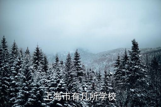 上海國(guó)際高中有多少所學(xué)校，上海市有幾所學(xué)校