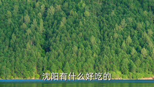沈陽有什么好吃的