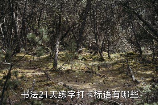 書法文案,我國藝術家陳詩樺獲頒金質獎章