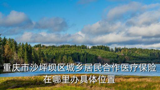 重慶市沙坪壩區(qū)城鄉(xiāng)居民合作醫(yī)療保險在哪里辦具體位置