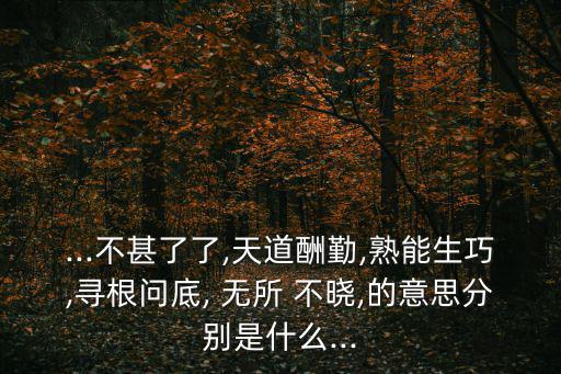 ...不甚了了,天道酬勤,熟能生巧,尋根問底, 無所 不曉,的意思分別是什么...