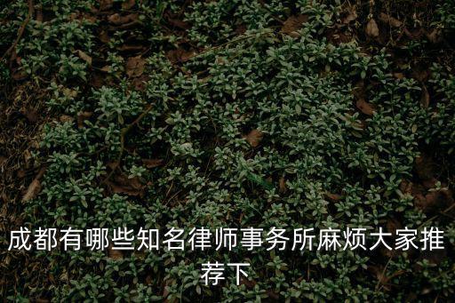 成都有哪些知名律師事務所麻煩大家推薦下