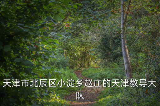 天津市北辰區(qū)小淀鄉(xiāng)趙莊的天津教導(dǎo)大隊(duì)