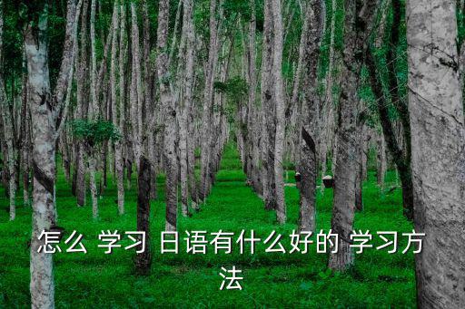 怎么 學習 日語有什么好的 學習方法