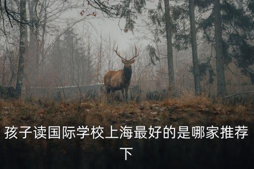 孩子讀國際學(xué)校上海最好的是哪家推薦下