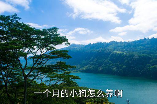 日狗的方法,結扎的狗可以人工受孕嗎?六種訓練方法有這六種!