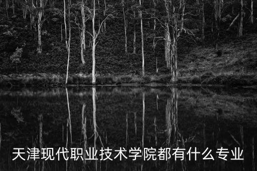 天津現(xiàn)代職業(yè)技術(shù)學(xué)院都有什么專業(yè)