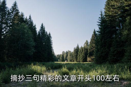 優美開頭摘抄，摘抄三句精彩的文章開頭100左右