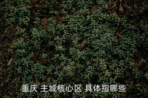 重慶 主城核心區(qū) 具體指哪些