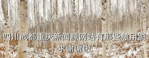四川成都重慶新聞源網站有那些急用跪求謝謝啦