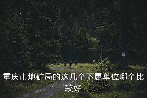 重慶市地礦局的這幾個下屬單位哪個比較好