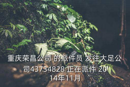 重慶榮昌公司 的派件員 發(fā)往大足公司43734828 正在派件 2014年11月