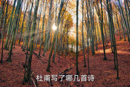 杜甫寫的詩,杜甫詩歌影響深遠被稱為詩圣