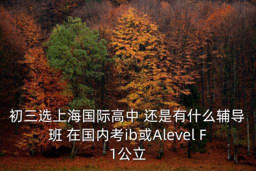 上海考alevel國際高中，上海alevel數(shù)學(xué)的asa2考試怎么選擇啊