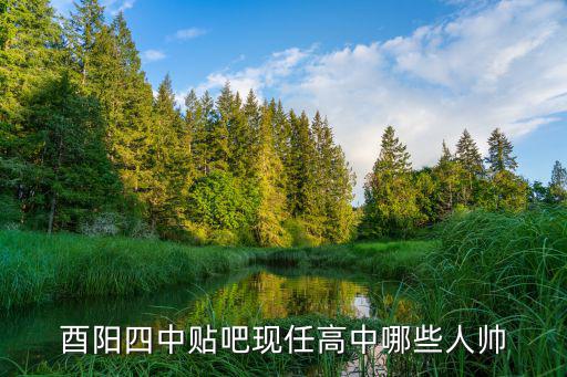 重慶市酉陽貼吧，酉陽四中貼吧現任高中哪些人帥