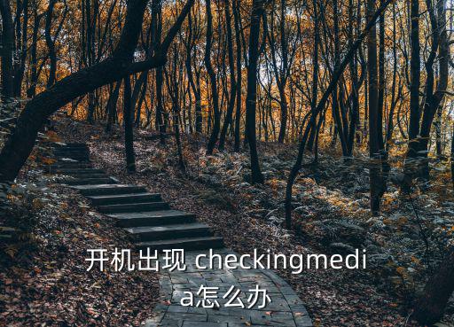 開機出現 checkingmedia怎么辦