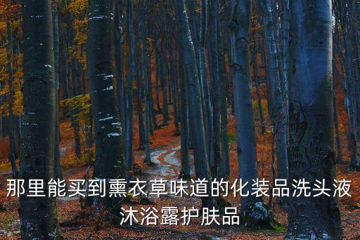 那里能買到熏衣草味道的化裝品洗頭液沐浴露護膚品