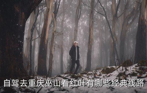 重慶市奉節(jié)紅葉，重慶巫山紅葉節(jié)的來歷是什么