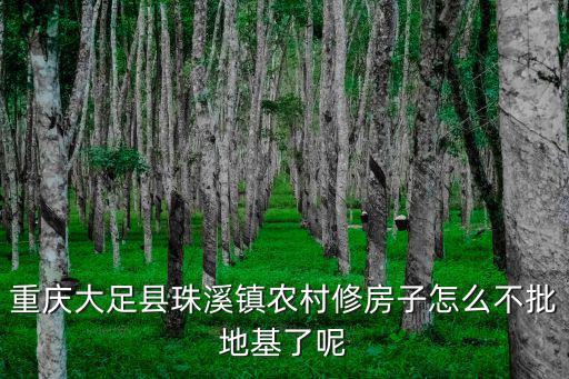 重慶大足縣珠溪鎮農村修房子怎么不批地基了呢