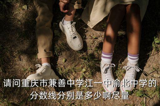請(qǐng)問重慶市兼善中學(xué)江一中渝北中學(xué)的分?jǐn)?shù)線分別是多少啊盡量