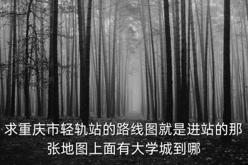 求重慶市輕軌站的路線圖就是進站的那張地圖上面有大學城到哪
