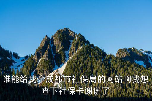誰能給我個成都市社保局的網站啊我想查下社保卡謝謝了