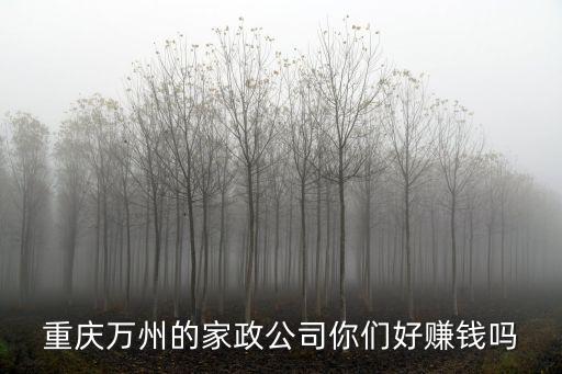 重慶萬州的家政公司你們好賺錢嗎