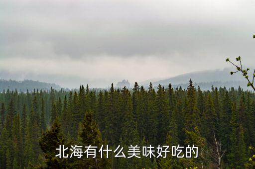 北海有什么美味好吃的