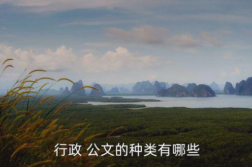 行政公文,擴展資料:行政公文泛指公文可同時向社會公布